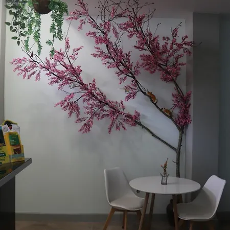 Oda ve Kahvaltı Mirandesa Garden Porto